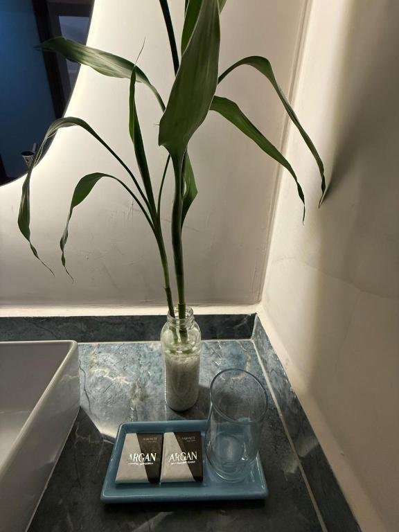 Amenities and details in the suite's bathroom